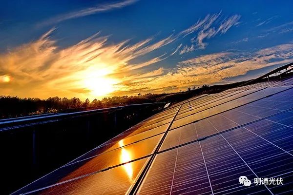 光合科普1 光合科普1